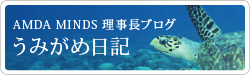 うみがめ日記